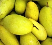Desi Chaunsa mango suppliers pakistan