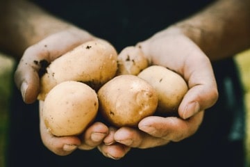 Potato Suppliers In Pakistan