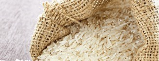 Requirements on importing rice from Pakistan to the UK