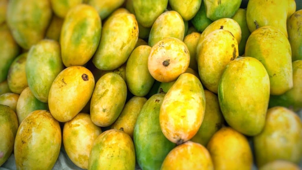 Importing Mangoes from Pakistan to EU
