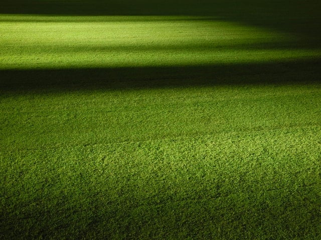 Artificial Grass