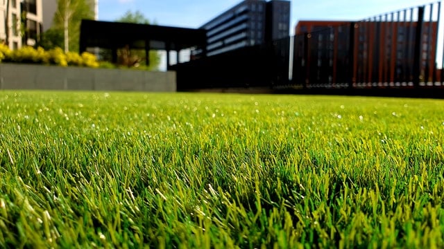 Artificial Grass Manufacturers: A Complete Guide