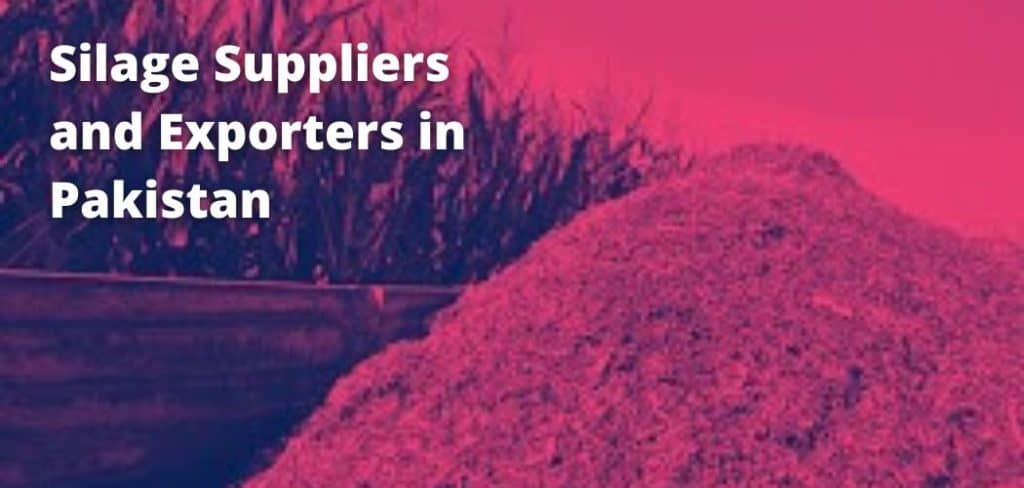 Silage Suppliers and Exporters in Pakistan